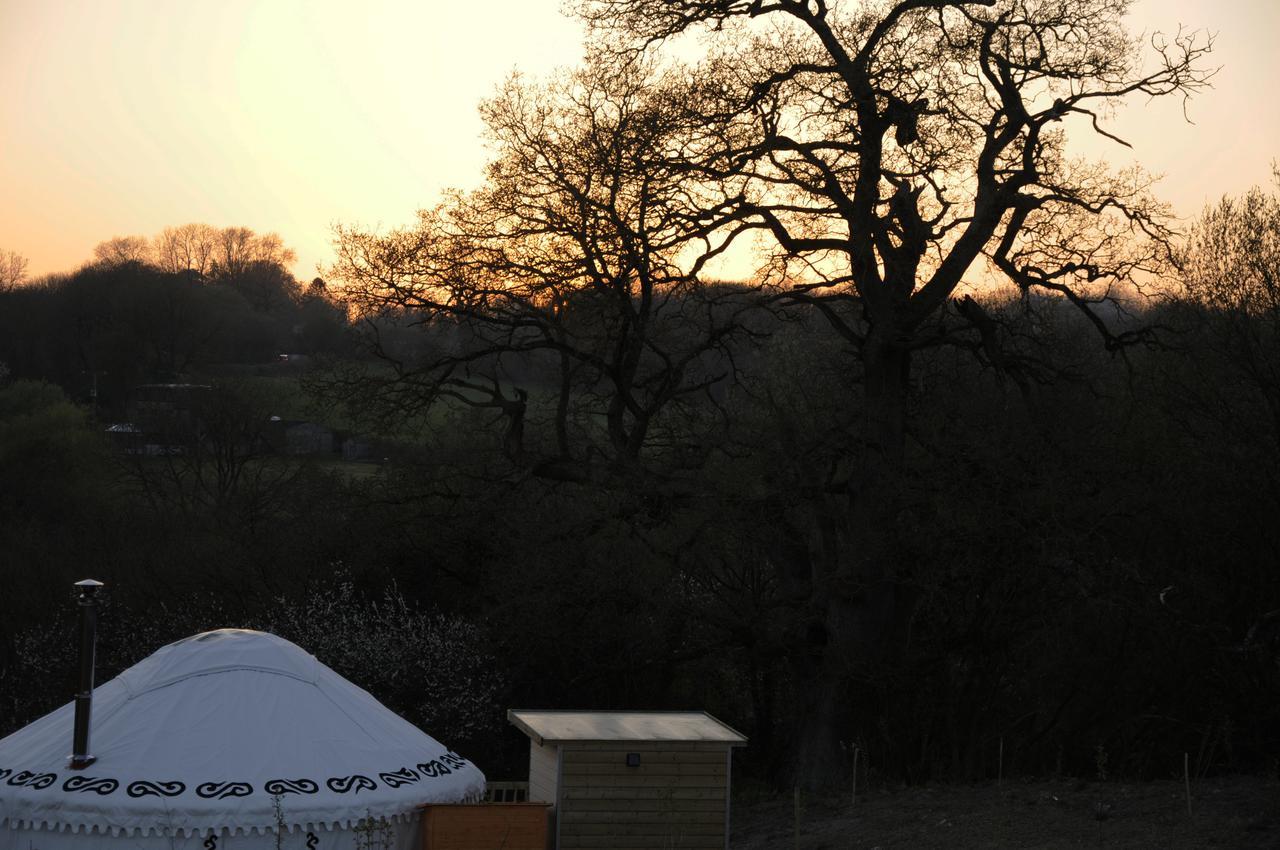 Glamping On The Hill Hotel Mells Ngoại thất bức ảnh